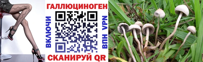 OMG ссылка  Надым  Псилоцибиновые грибы GOLDEN TEACHER 